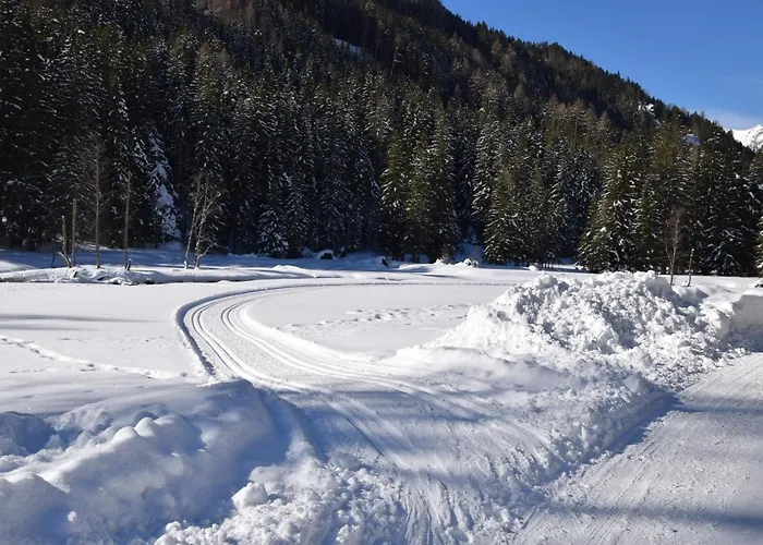 بيت خشبي Almchalet Poellatal