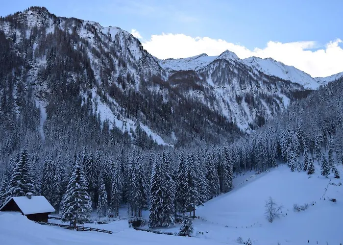 Almchalet Poellatal *