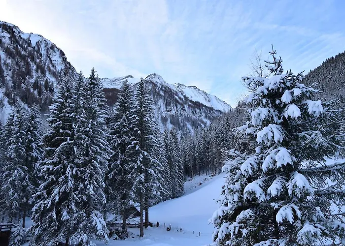 Alojamento de Turismo Selvagem Almchalet Poellatal Rennweg am Katschberg