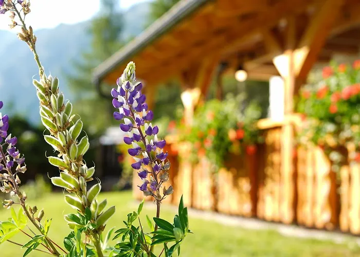 Almchalet Poellatal *