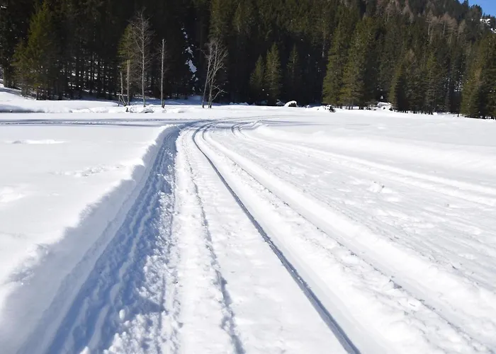 Alojamento de Turismo Selvagem Almchalet Poellatal Rennweg am Katschberg